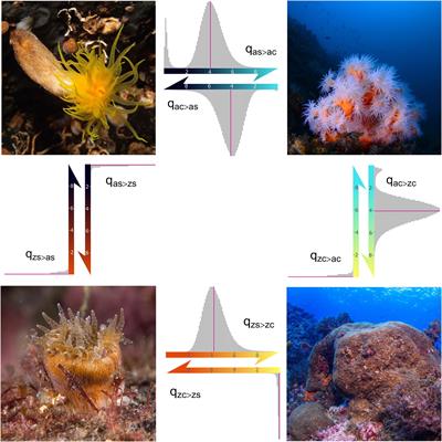 The Origin and Correlated Evolution of Symbiosis and Coloniality in Scleractinian Corals